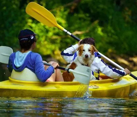 L'echappee Ardennaise - 6 Places Confort Semuy